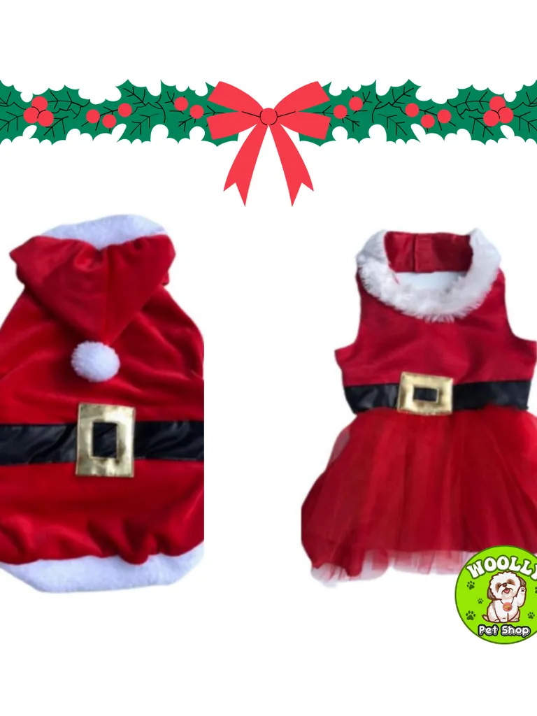 Disfraces para mascotas